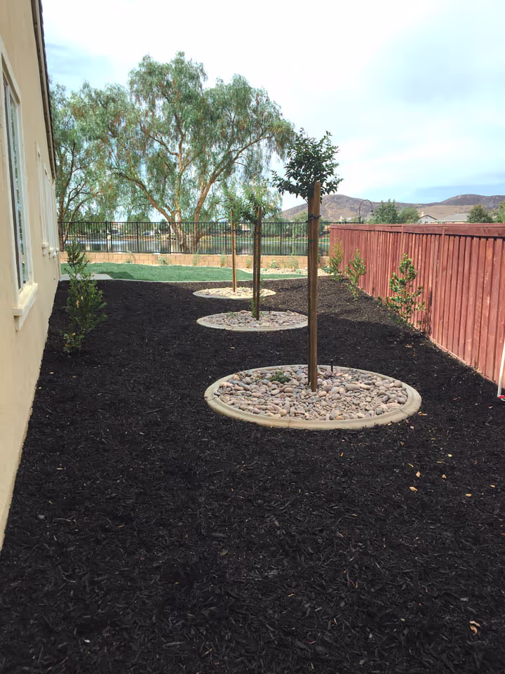 Residential Concrete Flatwork Back Yard Renovation — photo 8